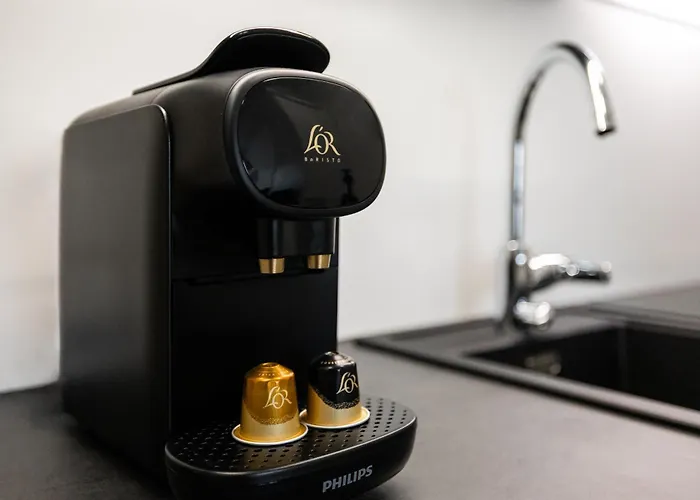 Stylish Sauna In Center By Nordic Collection 公寓 罗瓦涅米