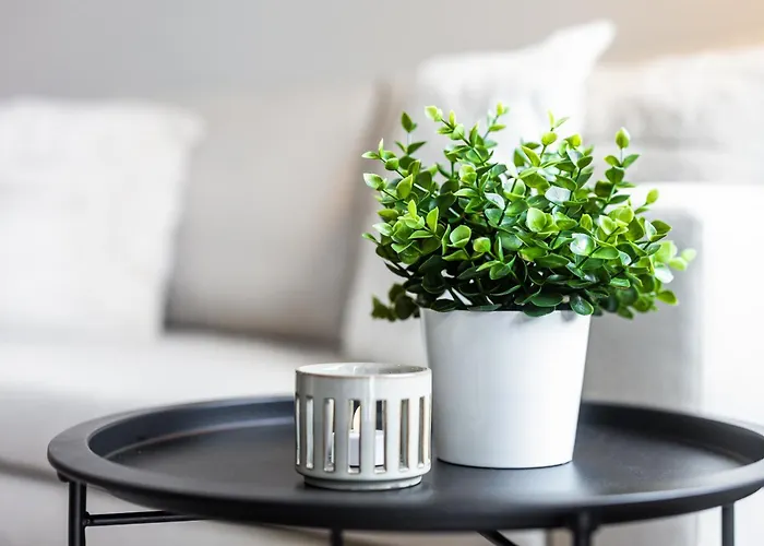 Stylish Sauna In Center By Nordic Collection 公寓