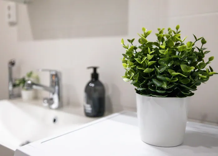 Stylish Sauna In Center By Nordic Collection