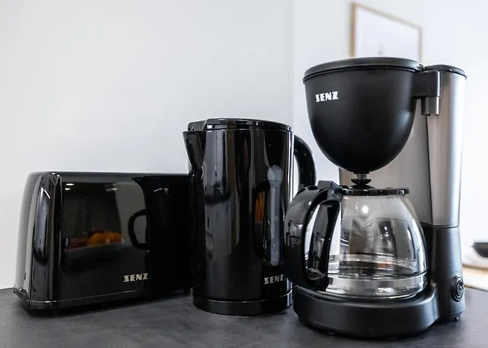 Stylish Sauna In Center By Nordic Collection 公寓