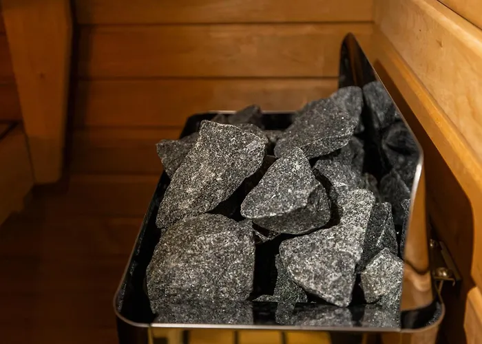 Stylish Sauna In Center By Nordic Collection *